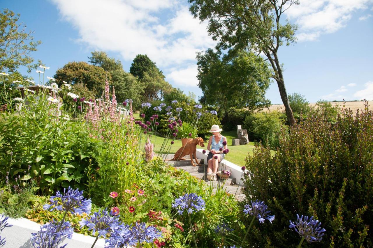 Bed & Breakfast Higher Leigh House Churchstow